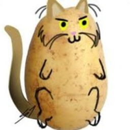 delicious cat