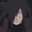 NtT0x1c-
