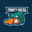 Trinity Ducks (was deleted at: 2023-10-02T11:28:34.3134903Z)