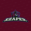 Team Reaper (was deleted at: 2020-08-21T20:02:34.2144239Z)
