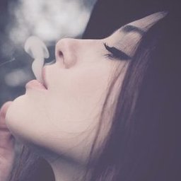 ondrys_