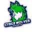 Cyber Wolves - eSports Academy