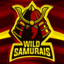 Wild Samurais