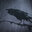 b_Crow