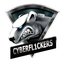 CYBERFL1CKERS
