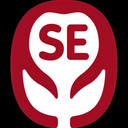 Sydvestjyllands efterskole
