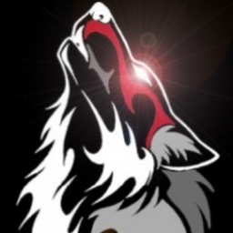 BlackWolf12367