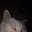 manka