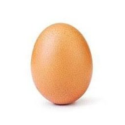 strong EGG