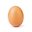strong EGG