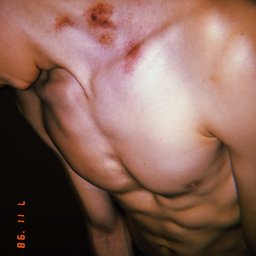 VitRus_