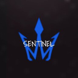 s3nt1nel