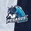 Pegasus eSports Wild Rift