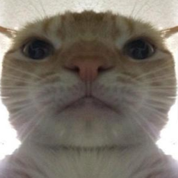 pavlaka98
