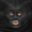 Jack_AU