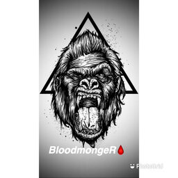 BloodmongeR