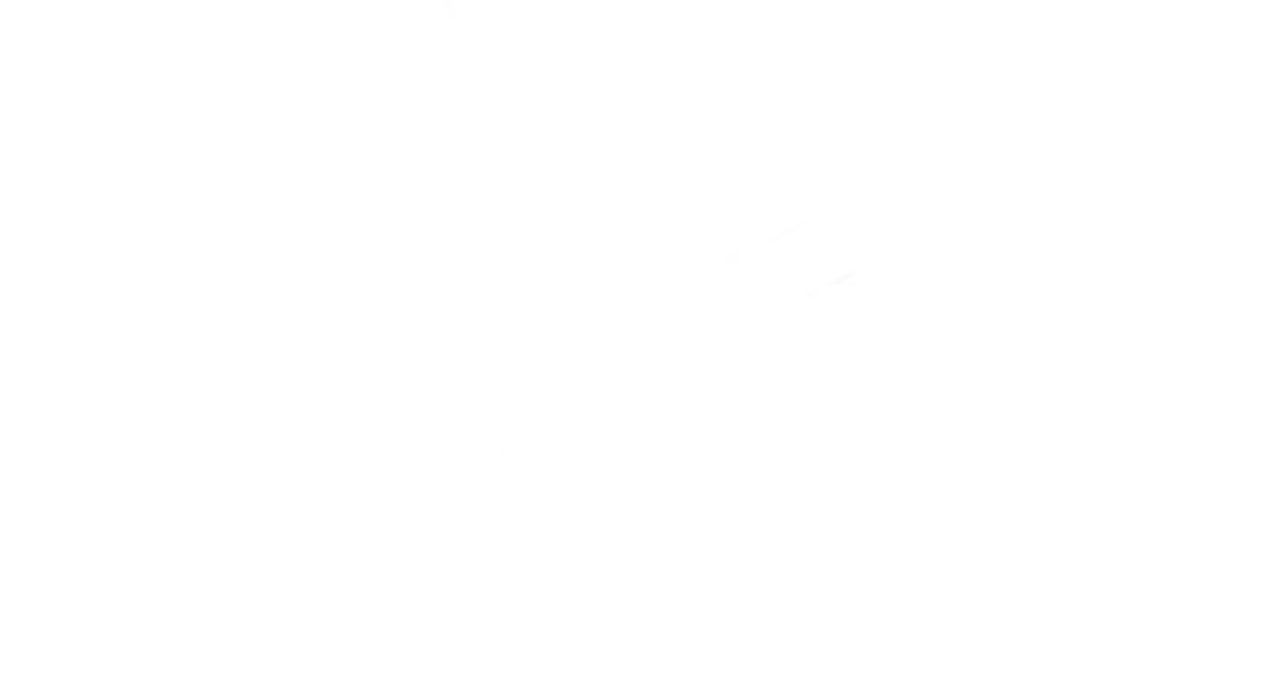 IBNA - Un Network creato dai Bladers per i Bladers.