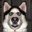 Micho_199