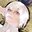 gAlil_