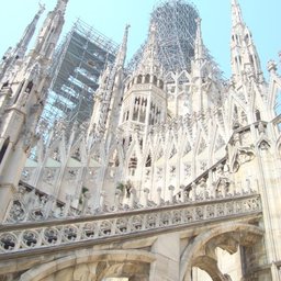 moniamartini331@gmail.com