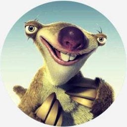 pigula99