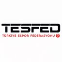 Türkiye Espor Federasyonu