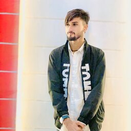Amir Raza1