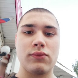 Gibrid_izJopi