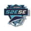 SZESE Esport Academy