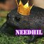 NeedHil