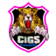 CIGS GAMING