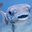 SirFish