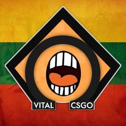 Vitalcsgo