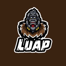 Luap#9849