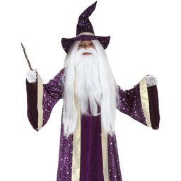 PurpleWizard