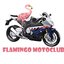 Flamingo Esports