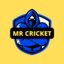 Mr.CRICKET™