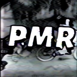 PMR21