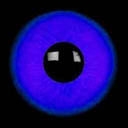 lukash_the_leader_of_freedoom