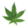 THCCartel