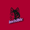Invisible