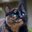 goshka_881#