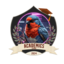 Academics Esport