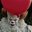isolatioN-