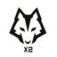 X2 Team