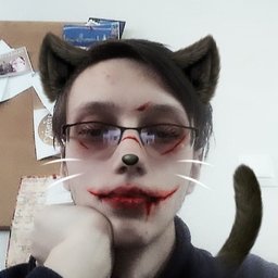 drypanther