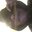 c3b3d11f-b1ca-45bc-939b-b4bf9554b1e5