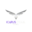 ICARUSTEAM