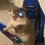 tudo certo pra dar errado (was deleted at: 2022-08-12T13:54:57.1687475Z)