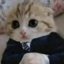 mjota7